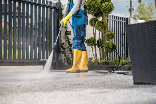 Best Driveway Pressure Washing  in Fox Island, WA
